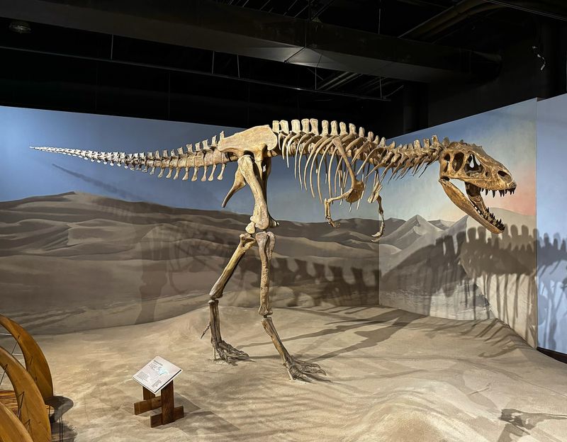Dinosaurs And A Deep Dive Into Natural History