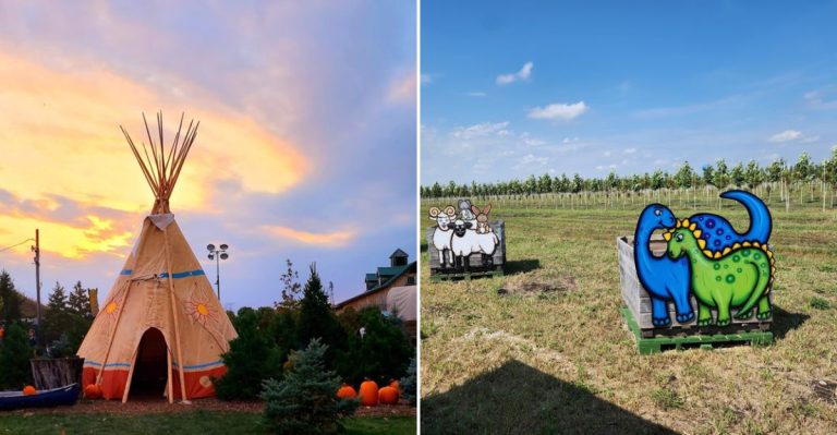 Dinosaurs And Unicorns Take Over This Illinois Farm For Two Magical Summer Weekends