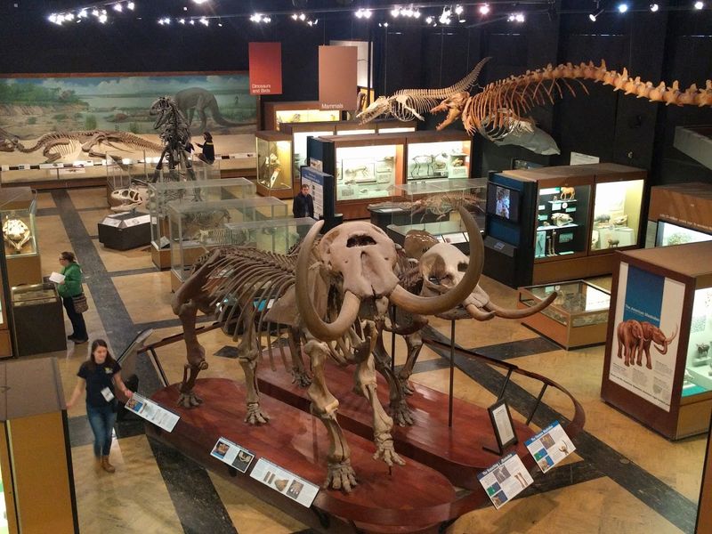 Dinosaurs Waiting On Campus