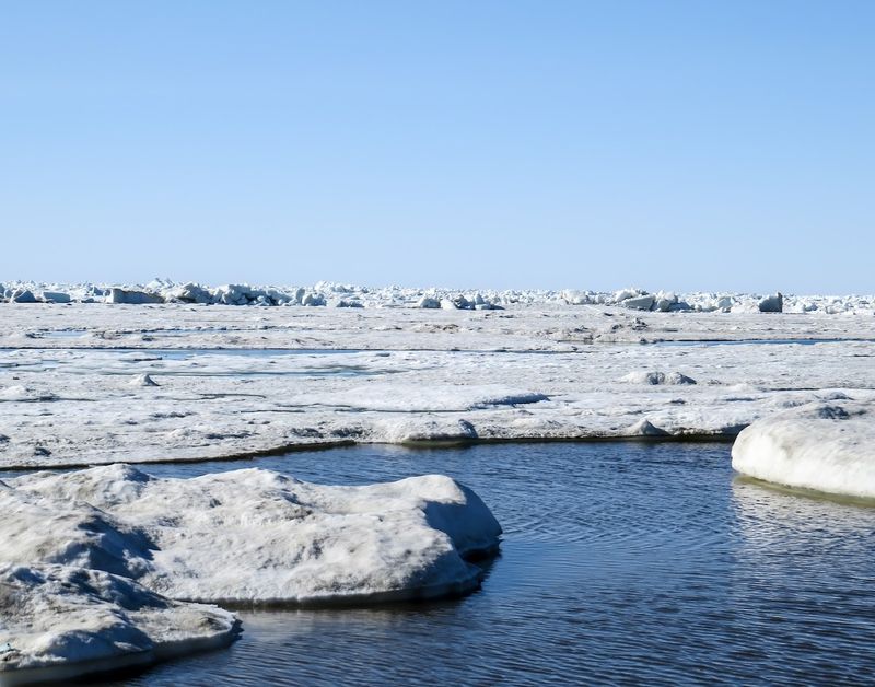 Dip A Toe In The Arctic Ocean 