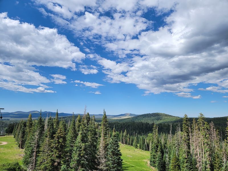 Disc Golf, Archery, And Nature Hikes