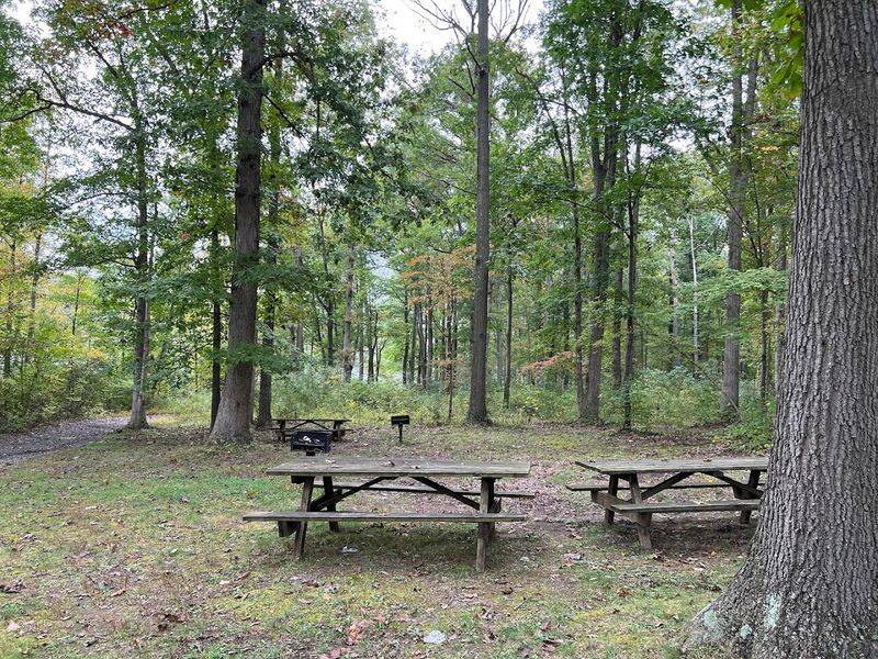 Disc Golf, Playgrounds, and Family-Friendly Fun