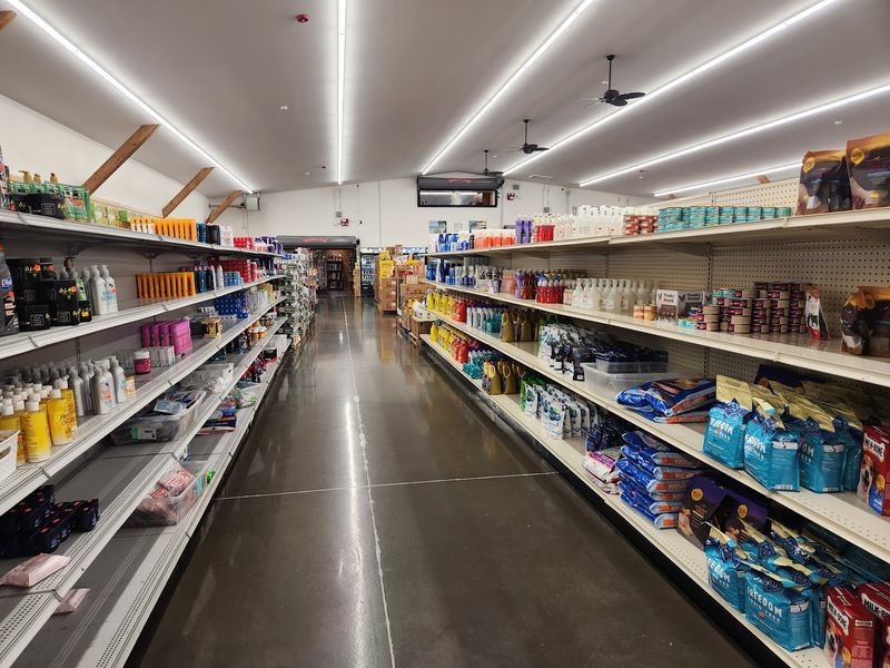 Discount Deals That Stretch Every Dollar