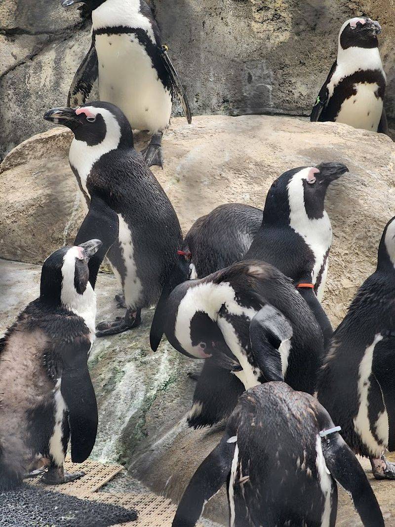 Meet Over 500 Animals From Around The Globe