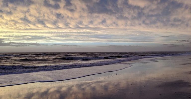 Discover A Florida Coastal Town Known For Foggy Sunrises And Whale Sightings