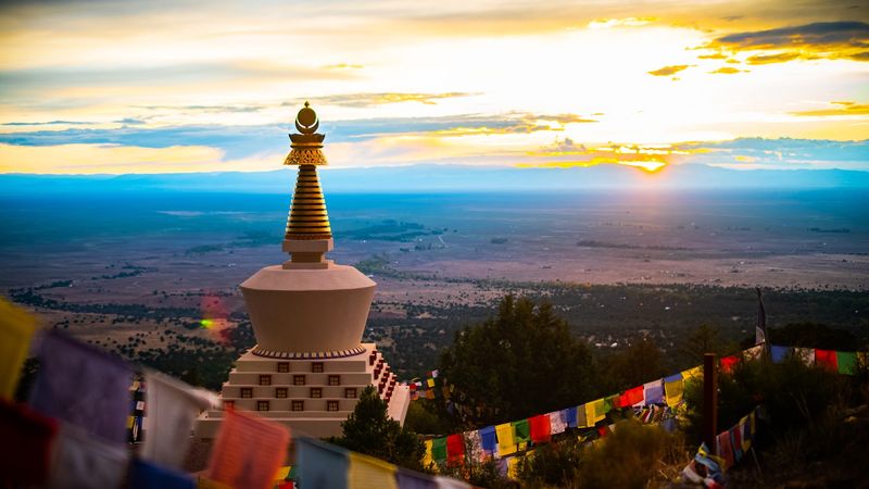 The Plan Picks Itself