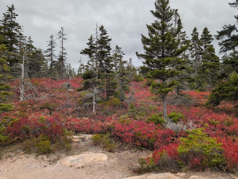 A Trail That Changes With The Seasons