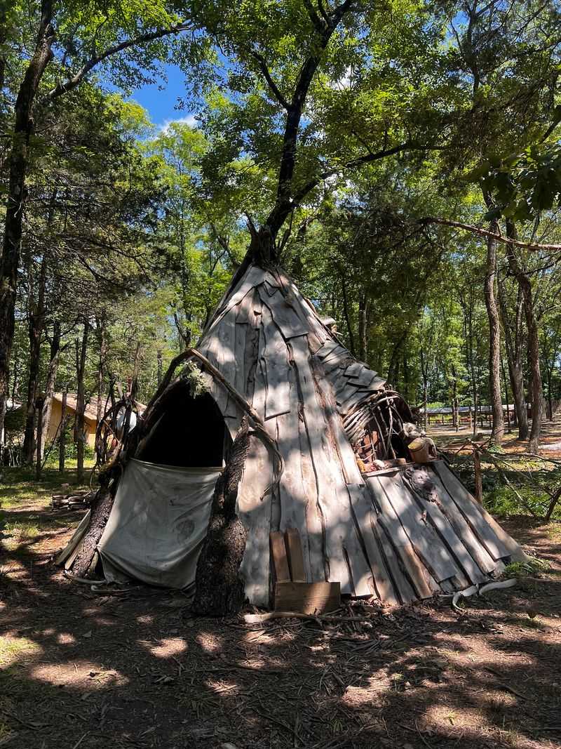Discover Stages Hidden In The Woods