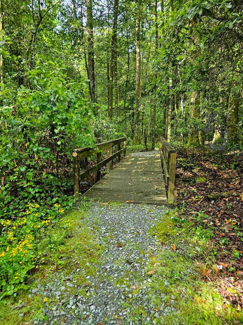 Discover The Botanical Wonders Hidden In Plain Sight
