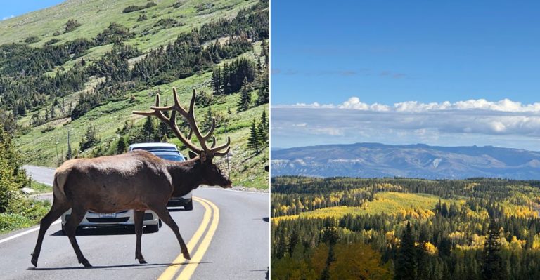 Discover The Colorado Canyon Drives That Locals Say Offer The Best Views
