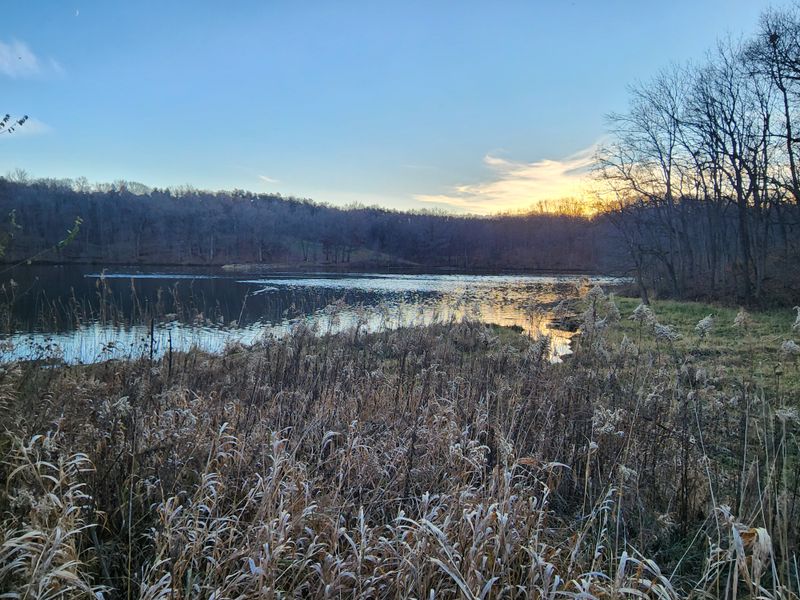 First Light On The Water