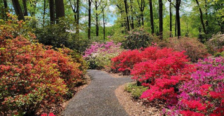 Discover The Pennsylvania Botanical Garden That Deserves Far More Attention Than It Gets