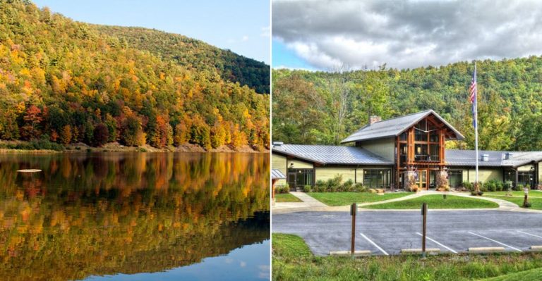 Discover This Overlooked Pennsylvania Park With Incredible Wildlife Views