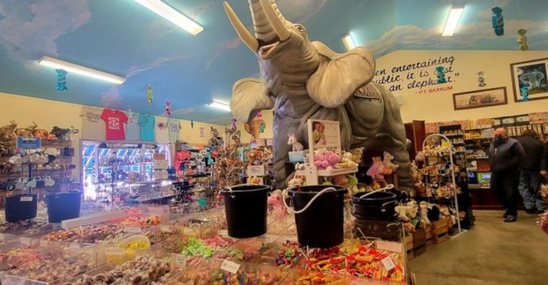 Discover Thousands Of Elephants And Tons Of Candy At This Quirky Pennsylvania Museum