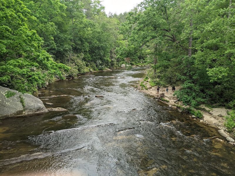 Swimming In The Chattooga River At Burrells Ford
