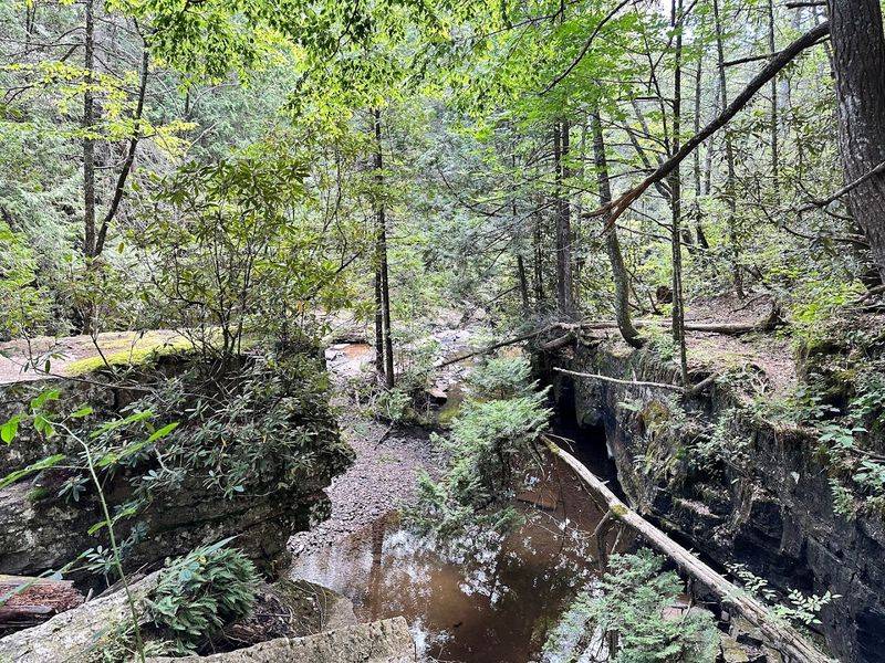 Dismal Falls Dismal Falls