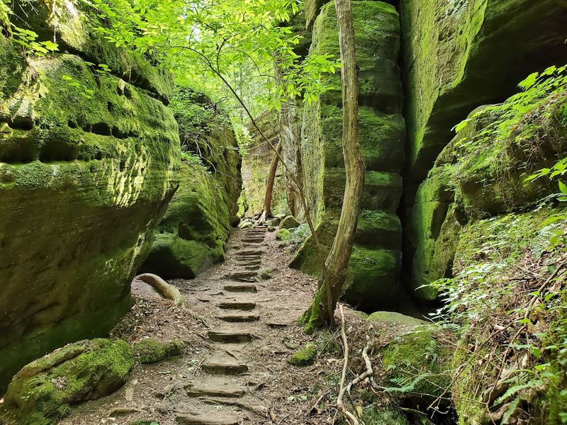 Dismals Canyon, Phil Campbell Dismals Canyon, Phil Campbell