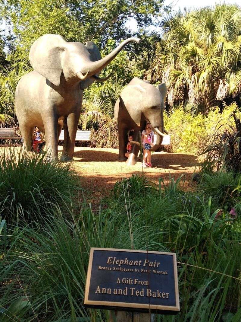 Jacksonville Zoo And Gardens, Jacksonville