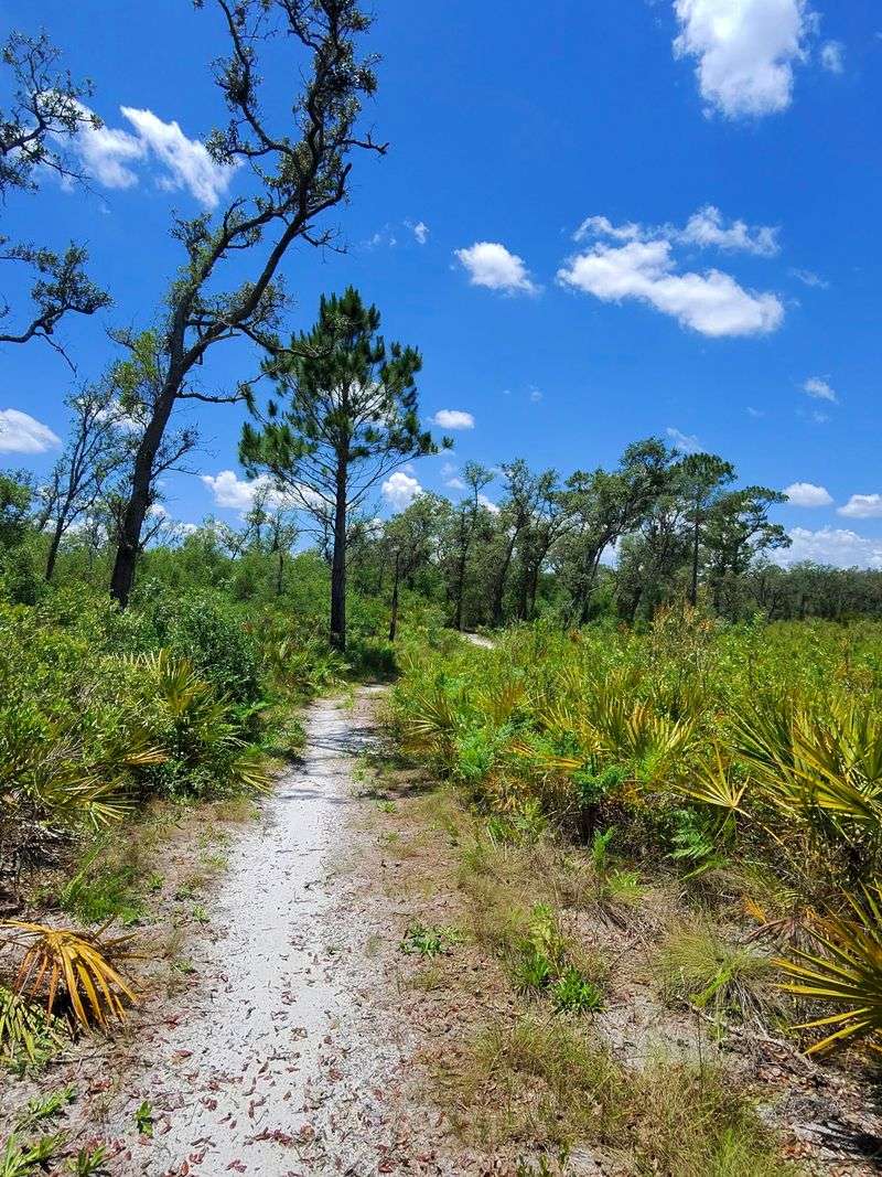 Tiger Creek Preserve — Babson Park