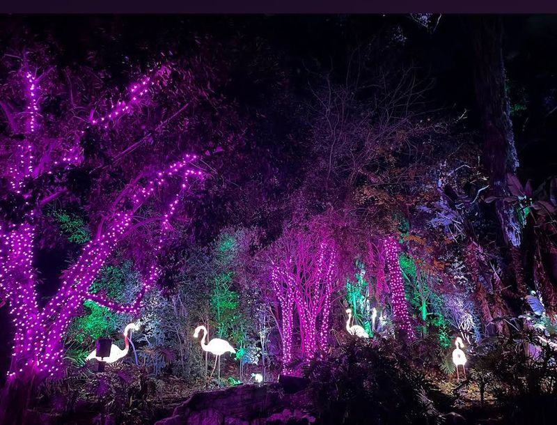 LA Zoo Lights – Los Angeles Zoo, 5333 Zoo Dr, Los Angeles, CA 90027