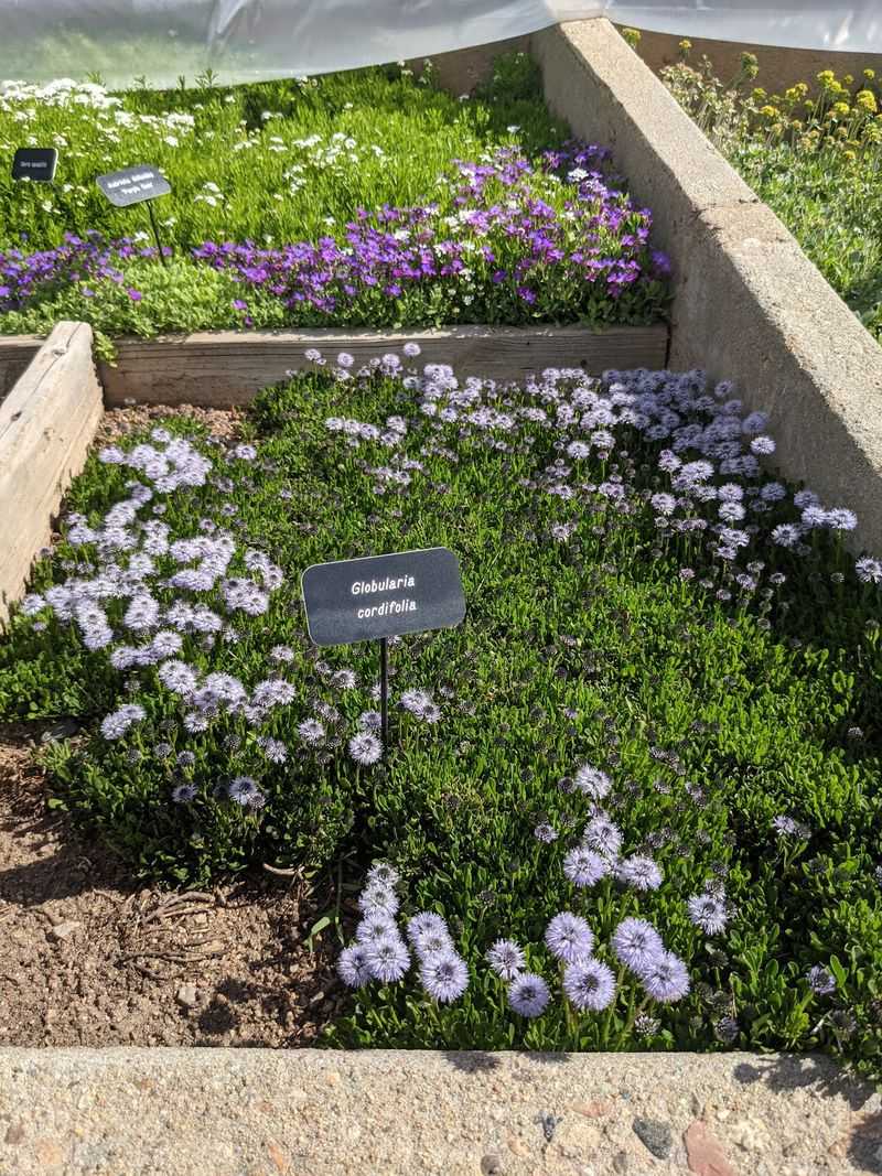Display Gardens That Show The Plants At Work