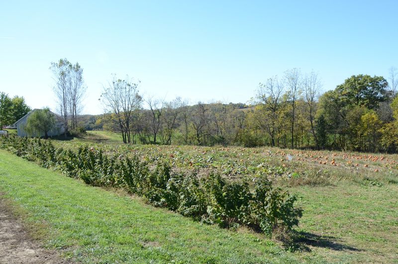 Dittmar Farms and Orchard Dittmar Farms and Orchard