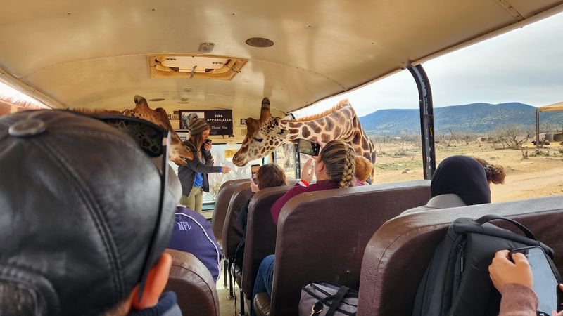 Affordable Admission And Membership Options