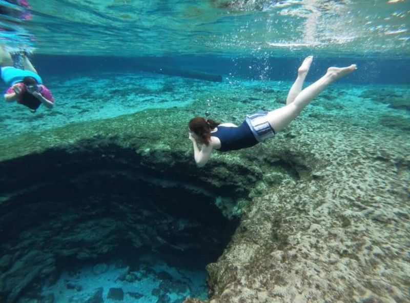 Snorkeling The Springs Like A Freshwater Aquarium