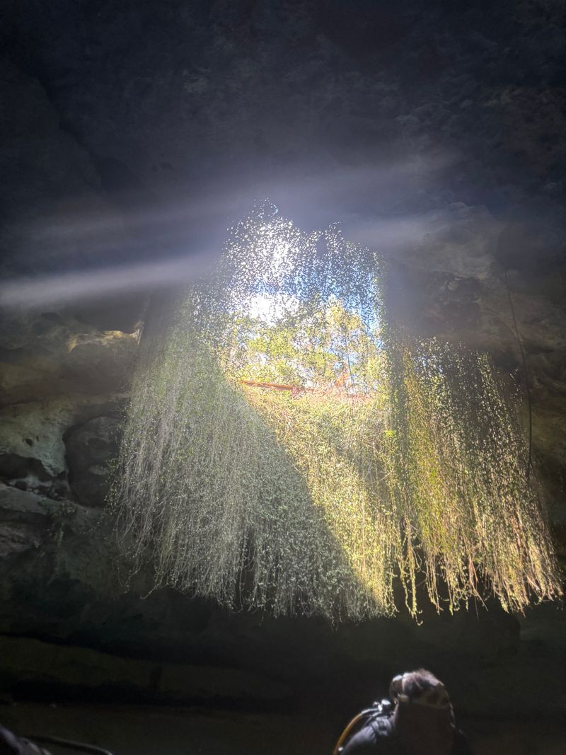 A Pocket History Written In Stone