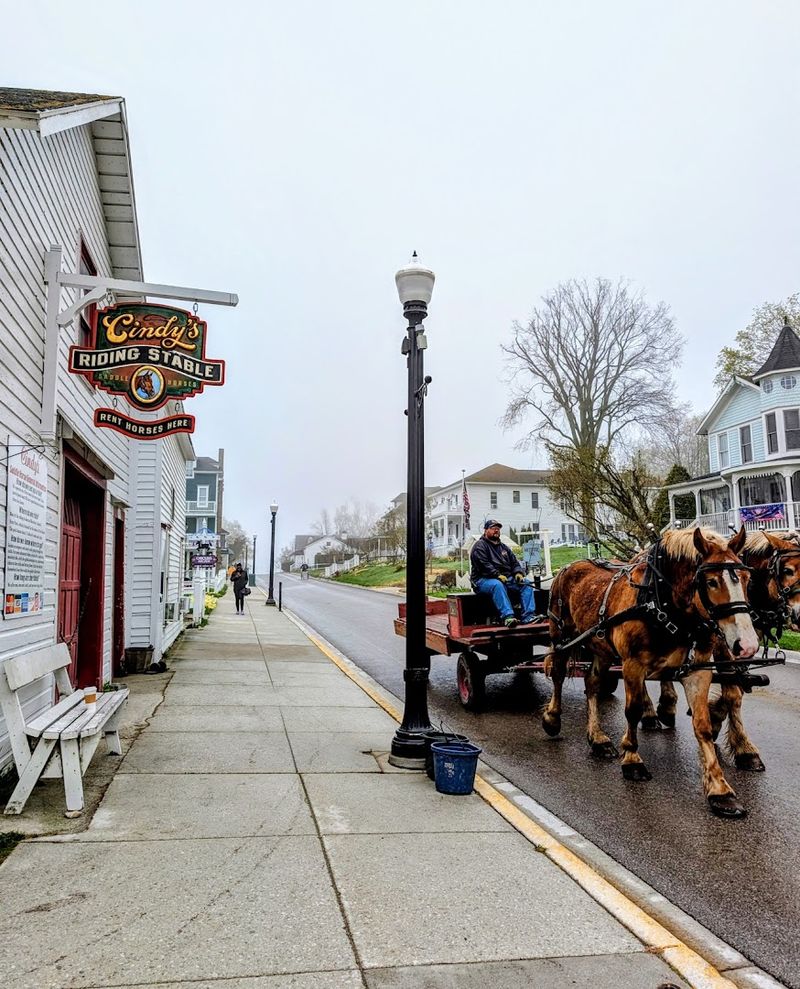 Do Not Disrespect Horses Or Their Right Of Way Do Not Disrespect Horses Or Their Right Of Way