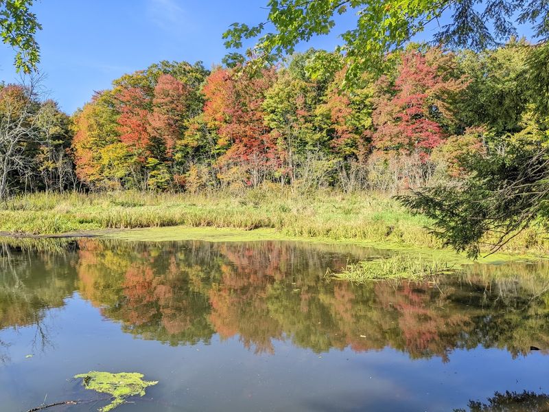 Do Not Ignore Fall