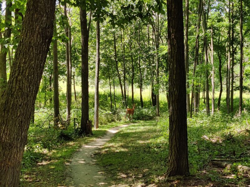 Do Not Overlook The Horseback Trails Do Not Overlook The Horseback Trails