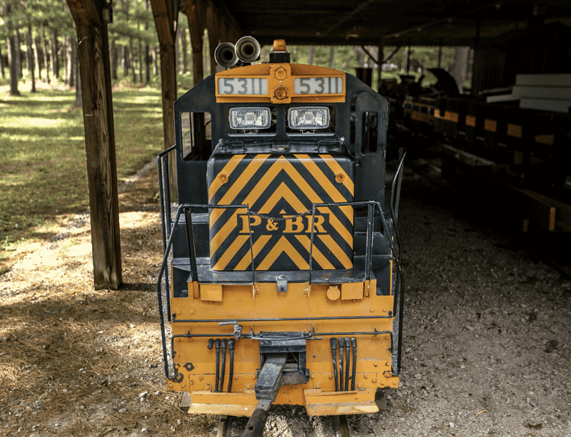 Do Not Overlook The Tiny Train