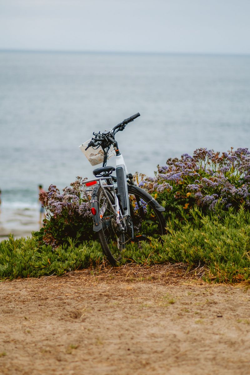 Do Not Ride Electric Bikes For General Use Do Not Ride Electric Bikes For General Use