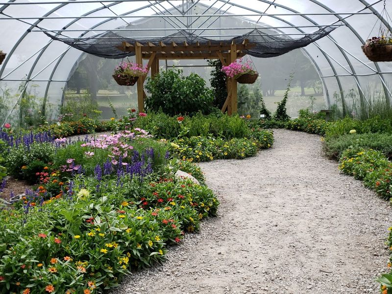 Do Not Skip The Butterfly House Do Not Skip The Butterfly House