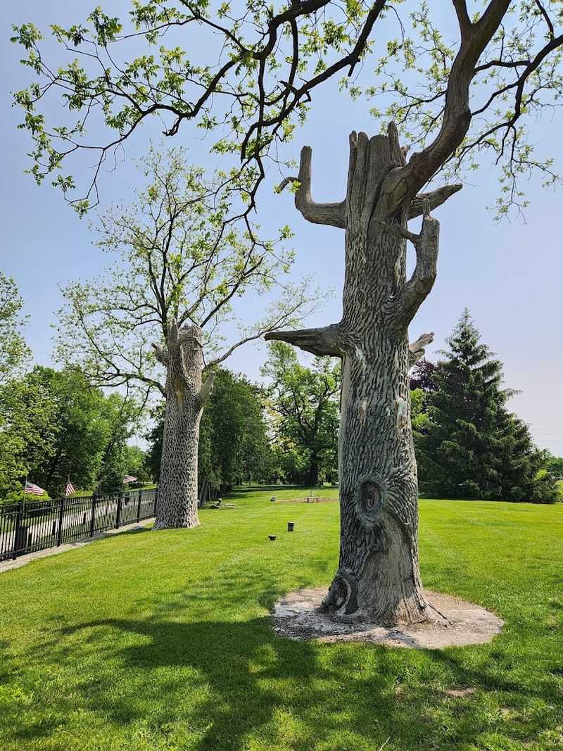 Do Not Skip The Concrete Trees