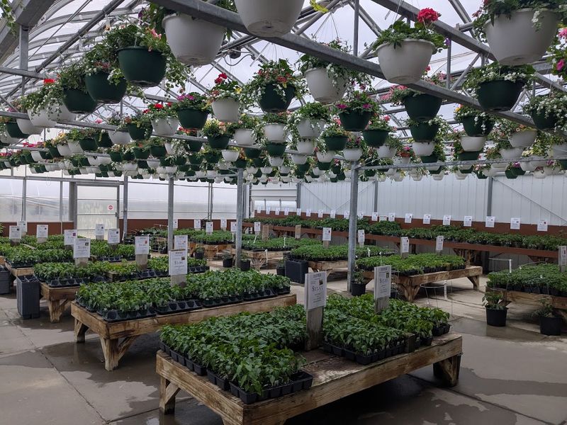 Do Not Skip The Hanging Baskets