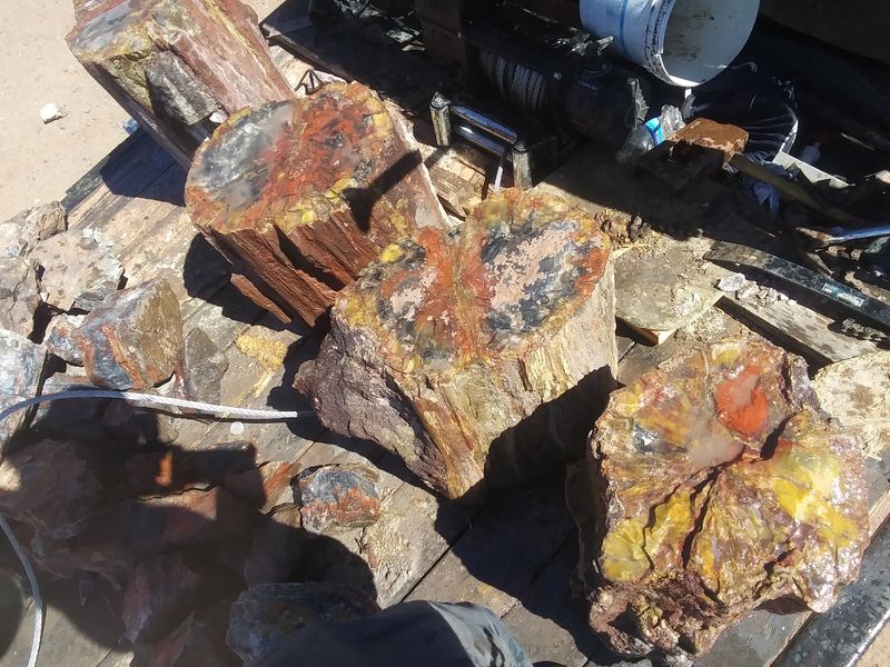 DoBell Mineral & Excavations @ The DoBell Ranch, Holbrook, AZ