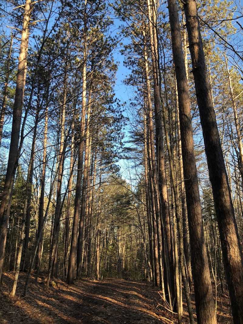 Dodge Point Preserve, Newcastle