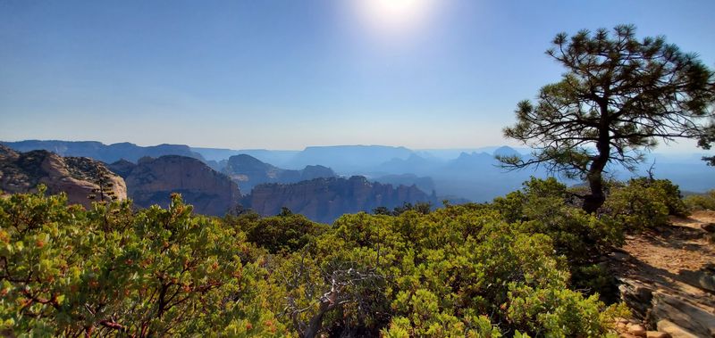 Bear Mountain Trail: The Summit That Earns Its Reputation