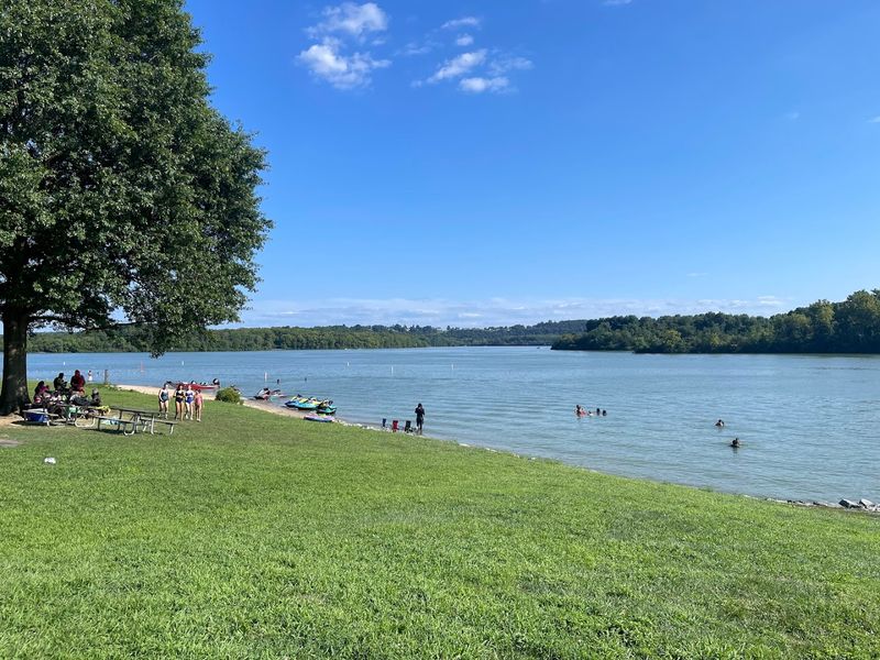 Dog Beach At Blue Marsh Lake, Reading/Bernville, Pennsylvania Dog Beach At Blue Marsh Lake, Reading/Bernville, Pennsylvania
