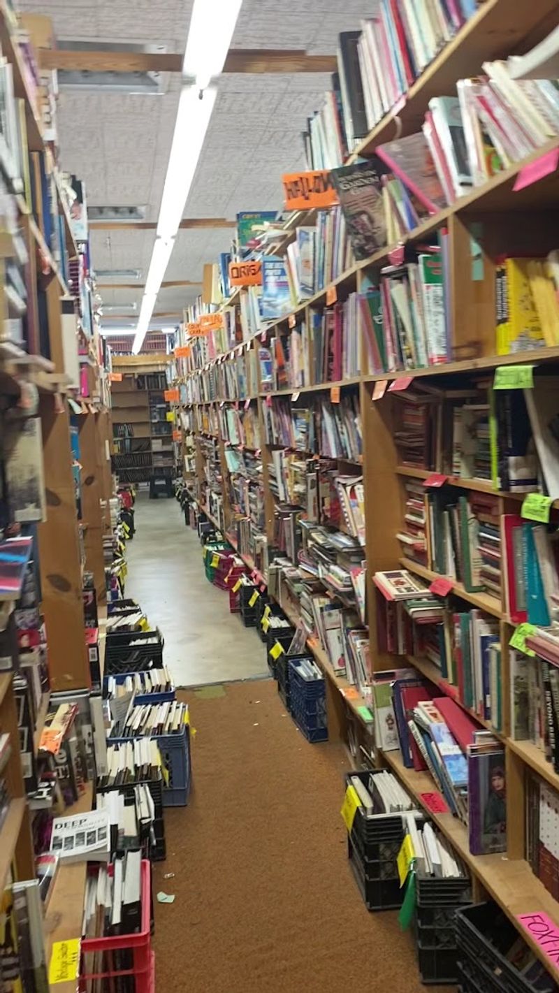 Dog-Friendly Aisles That Welcome Four-Legged Book Fans