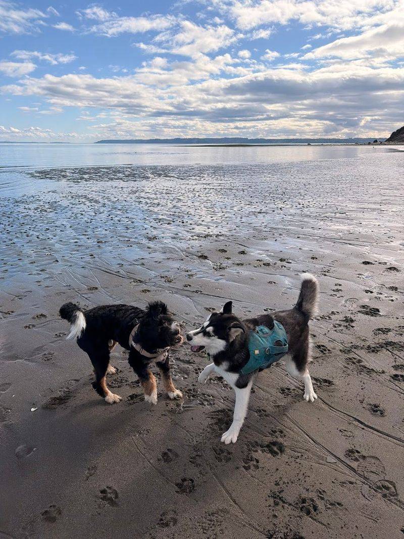 Dog-Friendly Amenities Dog-Friendly Amenities