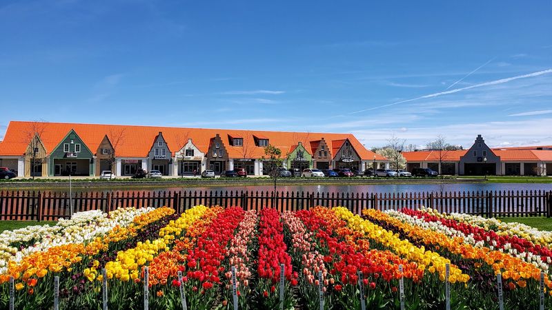 Make A Plan, Then Wander