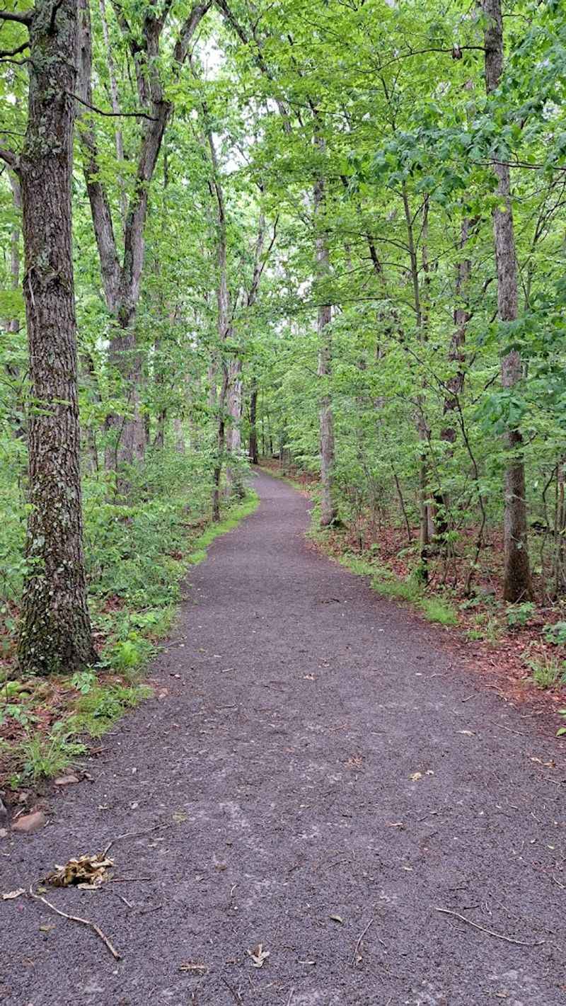 How To Plan Your Visit To The Creekside Trail