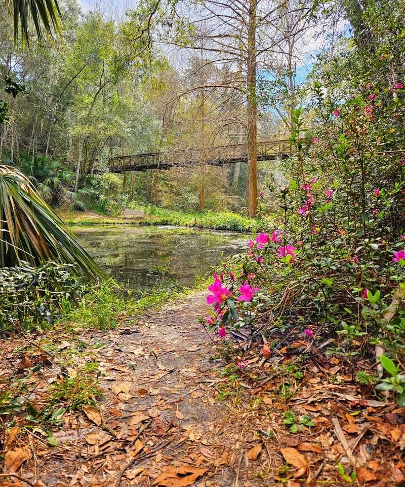 Dog-Friendly Trails That Welcome Four-Legged Hiking Companions