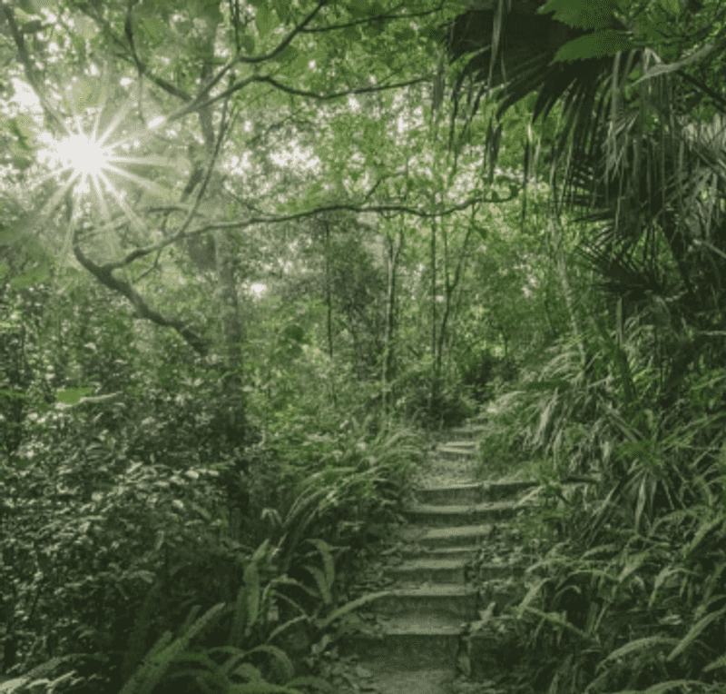 Peaceful Atmosphere Away From Tourist Crowds