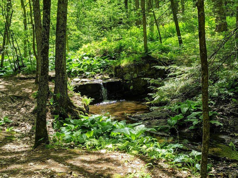 A New Experience Every Season