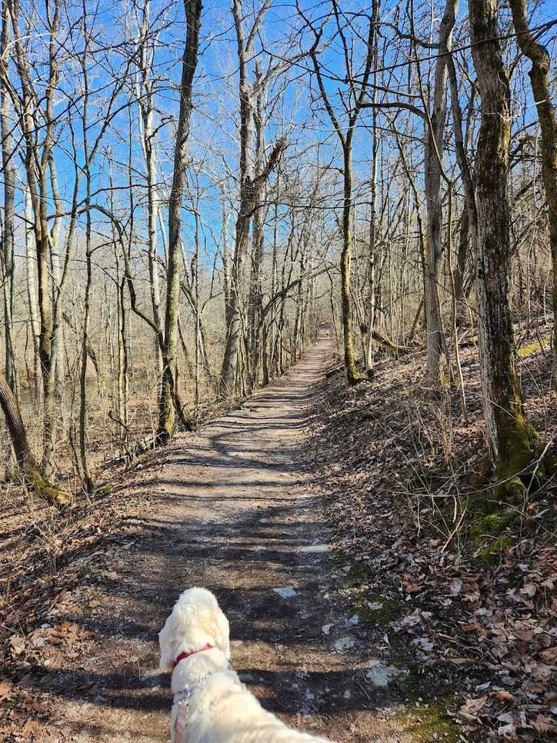 Dog Walking Heaven on Soft-Surface Trails
