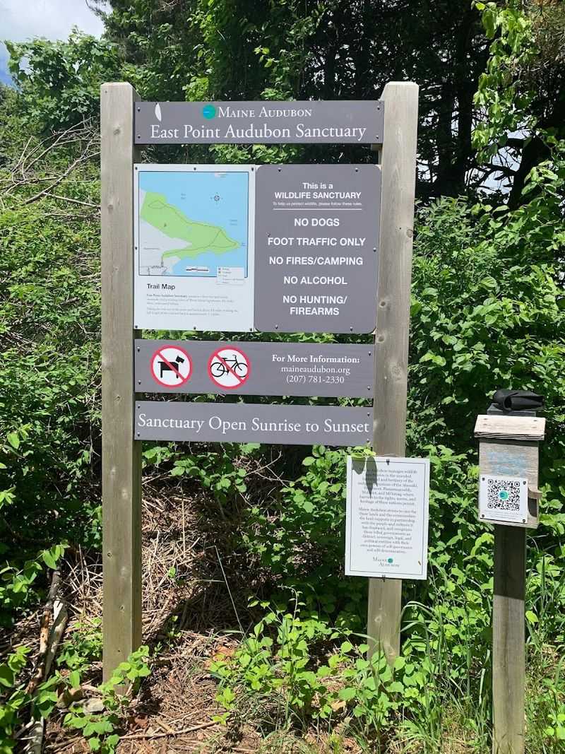 Dogs Are Not Permitted On The Trail Dogs Are Not Permitted On The Trail